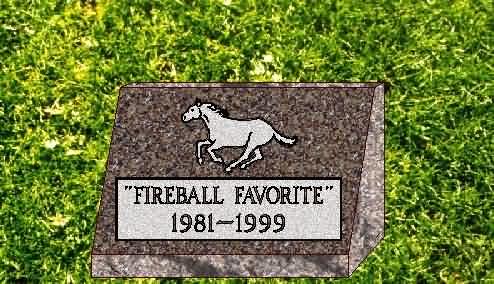 Fireball marker